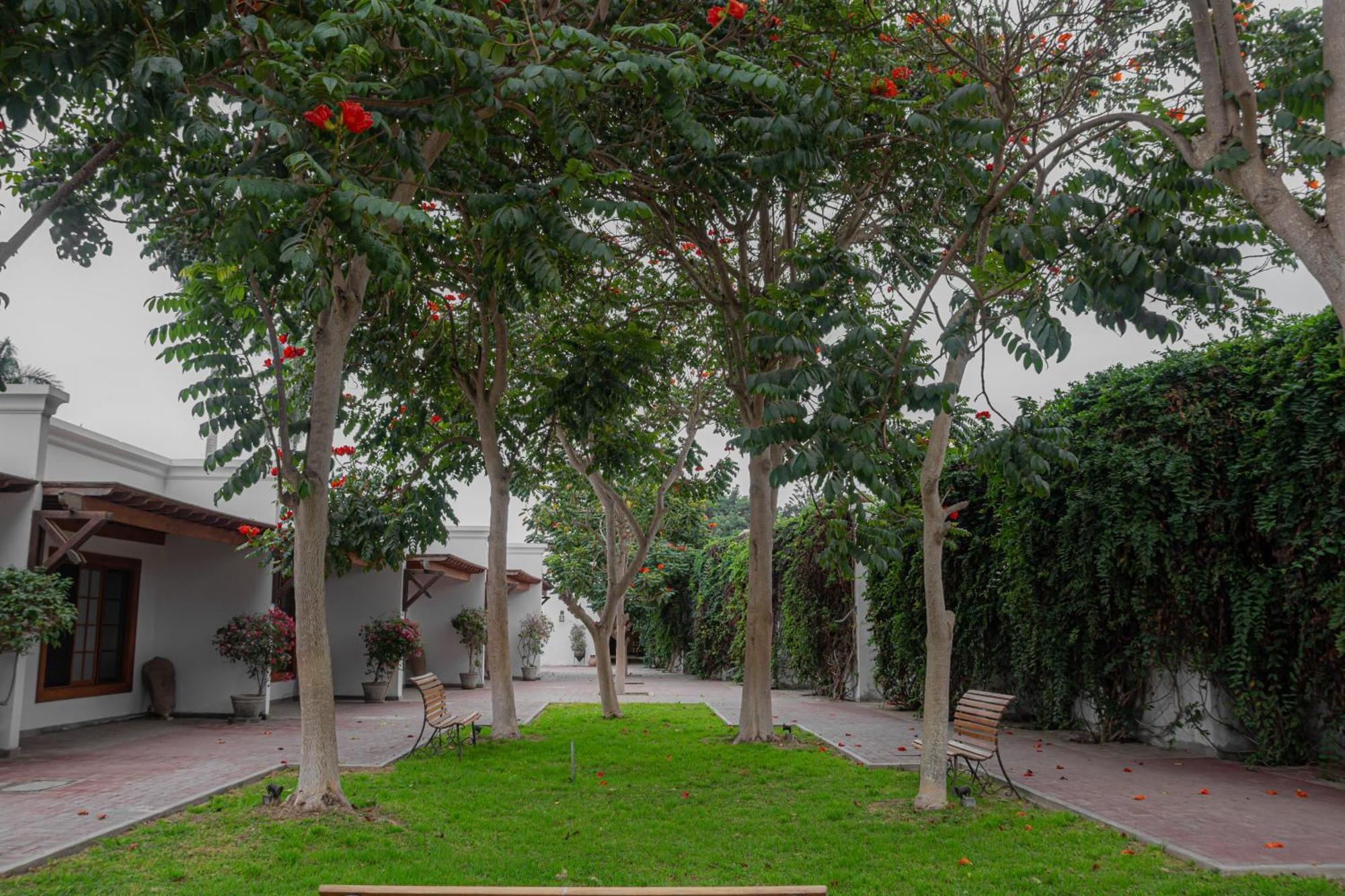 Casa Hacienda San Jose Hotell Chincha Alta Exteriör bild
